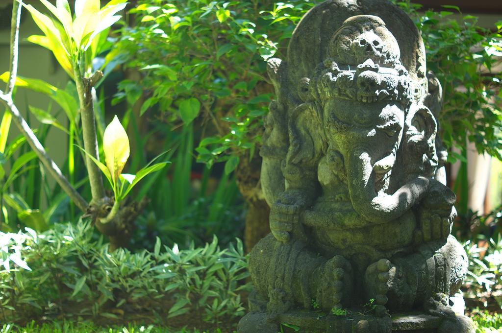 Indo Rumah Zengarden Pabean Buleleng Cameră foto